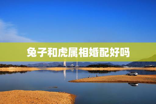 兔子和虎属相婚配好吗,虎兔属相婚配 虎兔相配吗 兔子和虎属相婚配好吗,虎兔属相婚配 虎兔相配吗