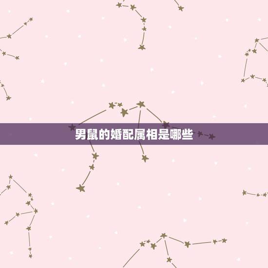 男鼠的婚配属相是哪些,属鼠男性适合的婚配属相 男鼠的婚配属相是哪些,属鼠男性适合的婚配属相