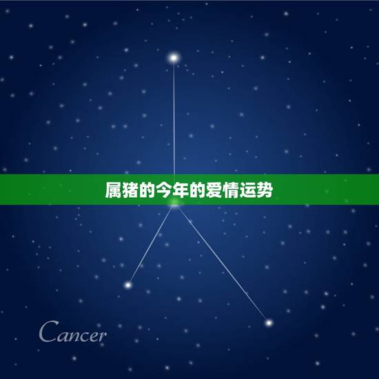 属猪的今年的爱情运势，2022 年属猪6月爱情运势