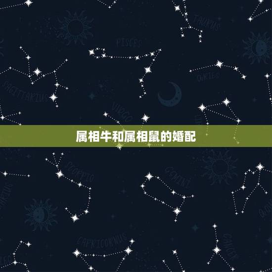 属相牛和属相鼠的婚配,属牛的结婚和鼠,羊那个属相为好 属相牛和属相鼠的婚配,属牛的结婚和鼠,羊那个属相为好