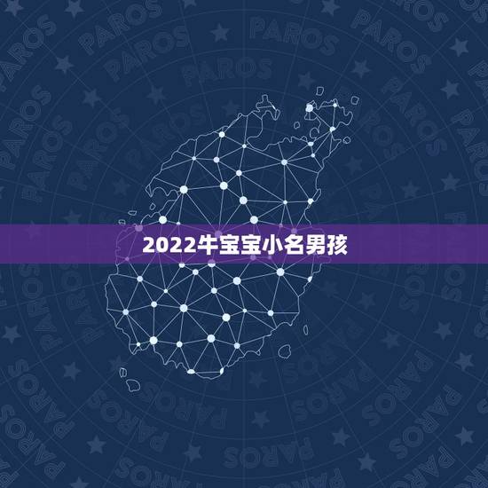 2022牛宝宝小名男孩，属虎男孩100分好名字