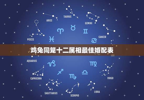 鸡兔同笼十二属相最佳婚配表，属兔的属相婚配表