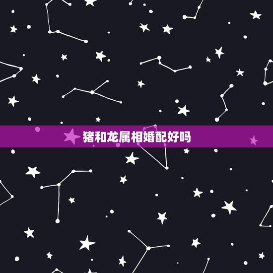 猪和龙属相婚配好吗，龙和什么生肖不配