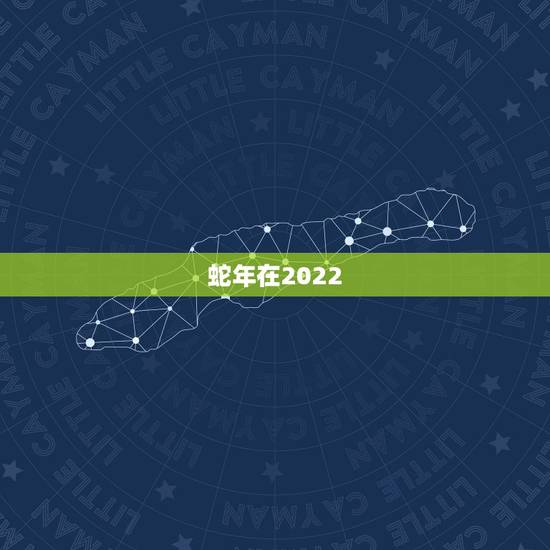 蛇年在2022 年运势如何,龙年人在2022 年运势 蛇年在2022 年运势如何,龙年人在2022 年运势