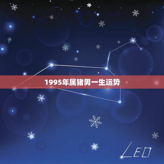 1995年属猪男一生运势，1995年属猪2022年运势