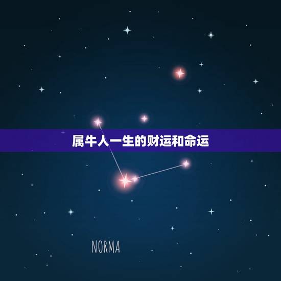 属牛人一生的财运和命运，属牛人的命数和财运