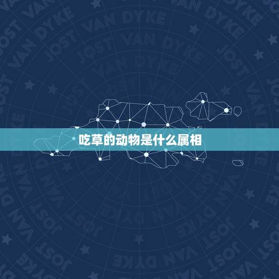 吃草的动物是什么属相，吃草的动物打一生肖