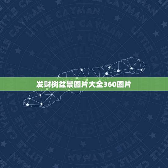 发财树盆景图片大全360图片,发财树有几种图片? 发财树盆景图片大全360图片,发财树有几种图片?