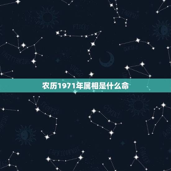 农历1971年属相是什么命,1971年属猪人是什么命 农历1971年属相是什么命,1971年属猪人是什么命