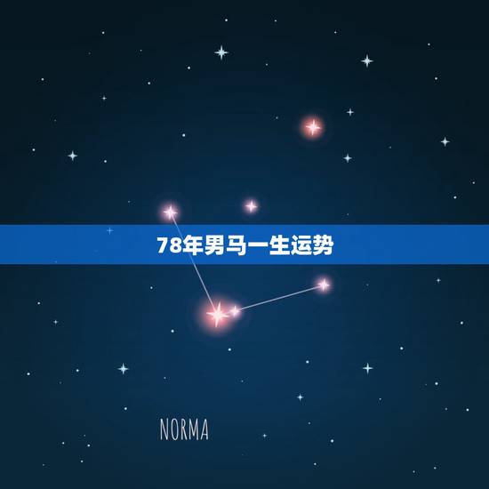 78年男马一生运势，1990年男马一生命运