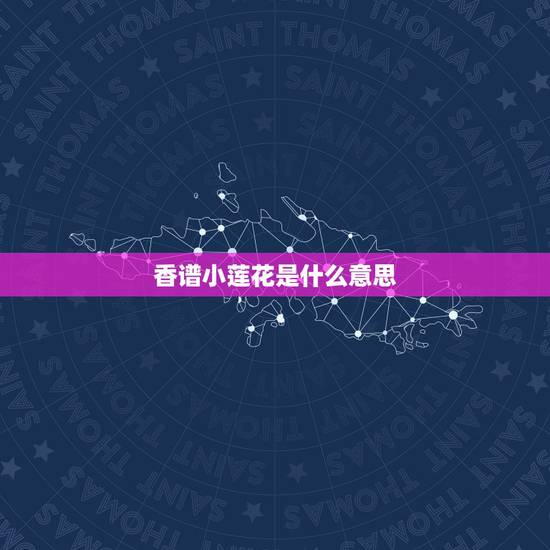 香谱小莲花是什么意思,今早我烧香,第一组是莲花香,第二组也是莲花香,怎 香谱小莲花是什么意思,今早我烧香,第一组是莲花香,第二组也是莲花香,怎