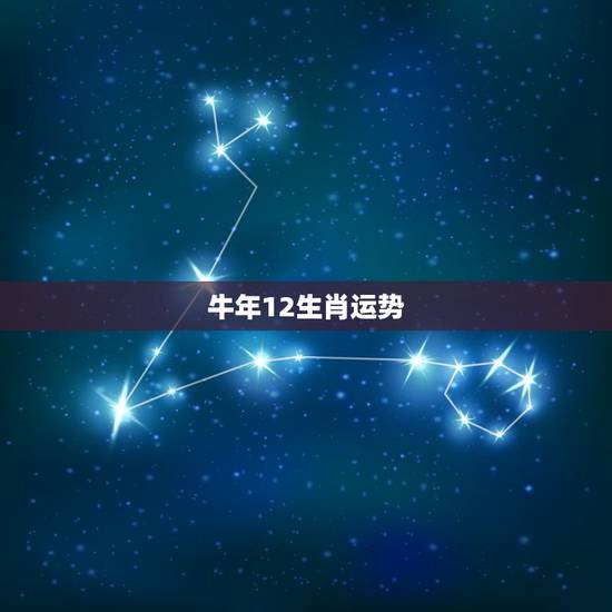 牛年12生肖运势，牛年生肖运势排名