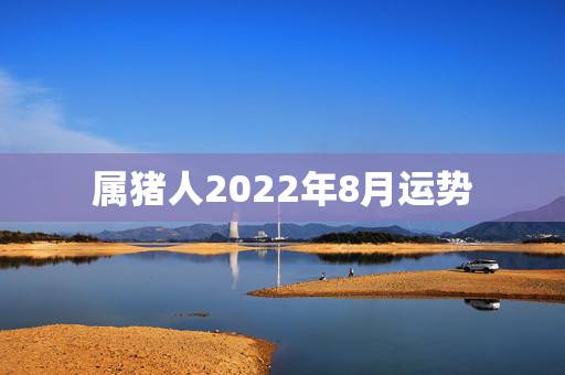 属猪人2022年8月运势，2022属猪人的全年运势如何