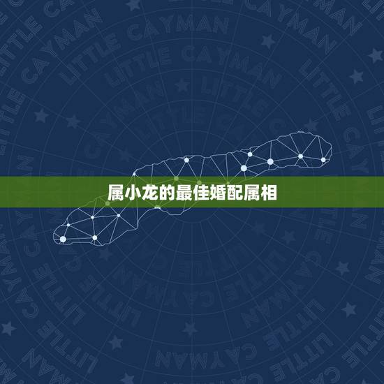 属小龙的最佳婚配属相,属龙女性的最佳配偶的属相是啥? 属小龙的最佳婚配属相,属龙女性的最佳配偶的属相是啥?