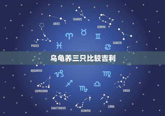 乌龟养三只比较吉利,乌龟养两只好还是三只好 乌龟养三只比较吉利,乌龟养两只好还是三只好