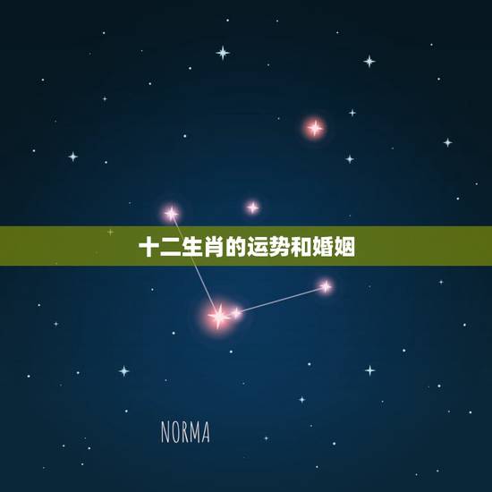 十二生肖的运势和婚姻，十二生肖今年的婚姻如何