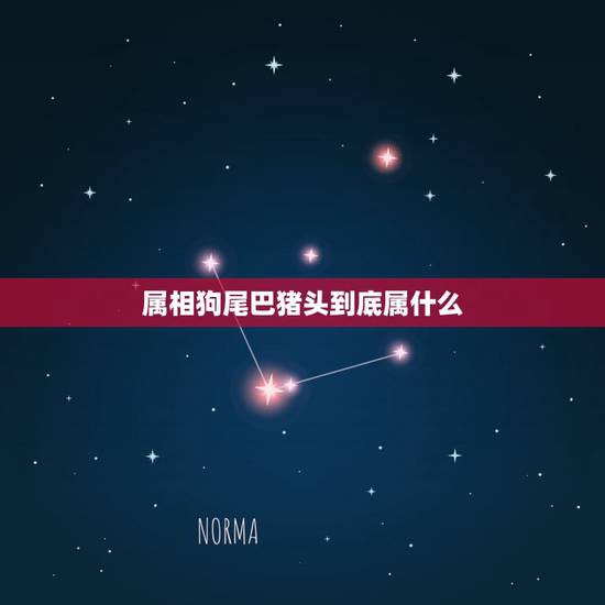 属相狗尾巴猪头到底属什么，猪头猪耳于似狗猪是什么生肖？