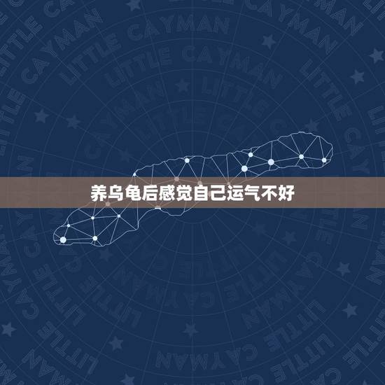 养乌龟后感觉自己运气不好,养了两只乌龟死了运气会很差吗 养乌龟后感觉自己运气不好,养了两只乌龟死了运气会很差吗