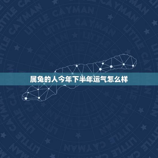 属兔的人今年下半年运气怎么样,请问农历属兔的女性今年运气如何? 属兔的人今年下半年运气怎么样,请问农历属兔的女性今年运气如何?