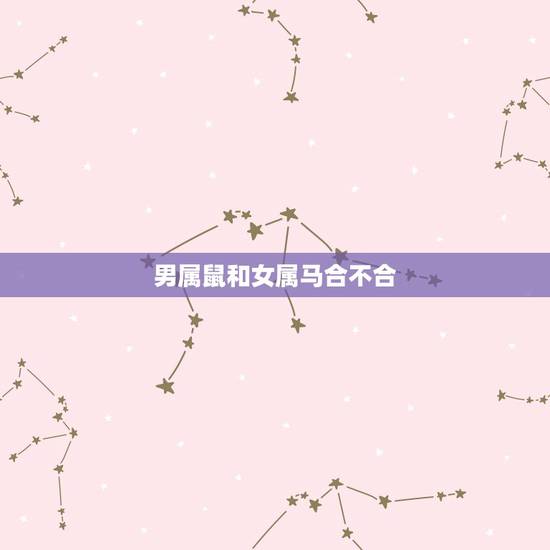 男属鼠和女属马合不合 属鼠和属马结婚案例 男属鼠和女属马合不合 属鼠和属马结婚案例