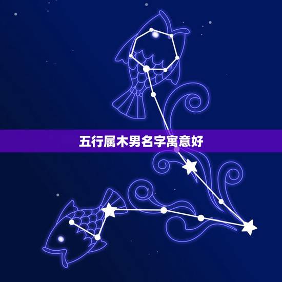 五行属木男名字寓意好，属木的男孩名字寓意好的字