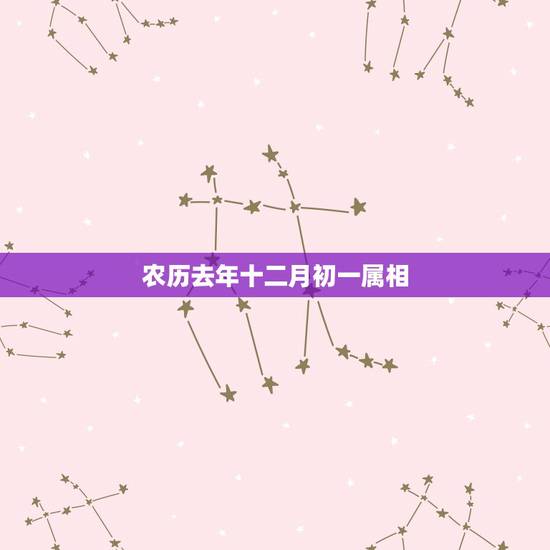农历去年十二月初一属相,1992年农历12月初1是属什么生肖 农历去年十二月初一属相,1992年农历12月初1是属什么生肖