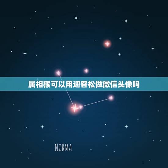 属相猴可以用迎客松做微信头像吗，用十二生肖动物做微信头像可以吗