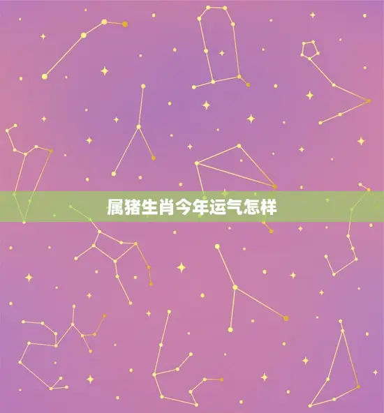 属猪生肖今年运气怎样 属猪生肖今年运气怎样