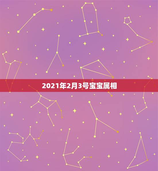 2021年2月3号宝宝属相，2021年2月3日属什么属相