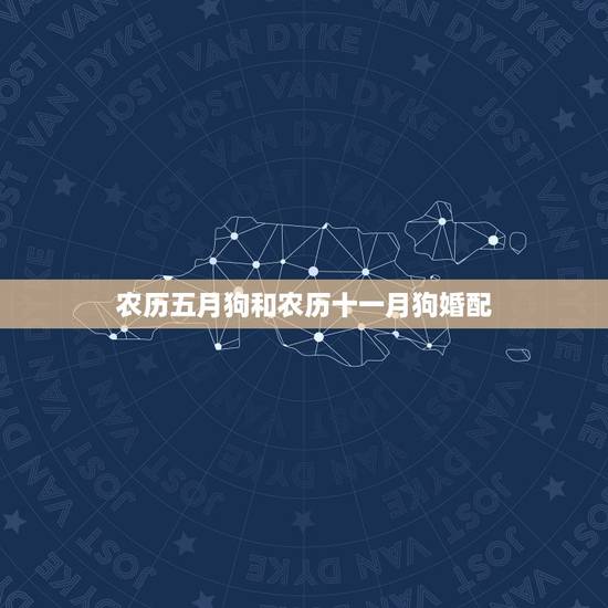 农历五月狗和农历十一月狗婚配,农历五月属狗的和六月属猪的般配指数 农历五月狗和农历十一月狗婚配,农历五月属狗的和六月属猪的般配指数