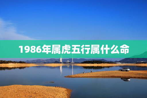 1986年属虎五行属什么命,1986年属虎2022 年运势 1986年属虎五行属什么命,1986年属虎2022 年运势