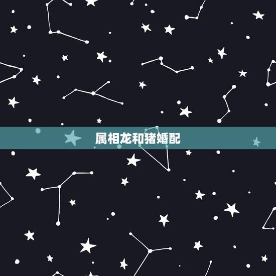 属相龙和猪婚配，属龙与属猪的相配吗