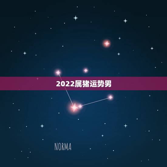 2022属猪运势男,1971年大金猪在2022年虎年运程如何? 2022属猪运势男,1971年大金猪在2022年虎年运程如何?