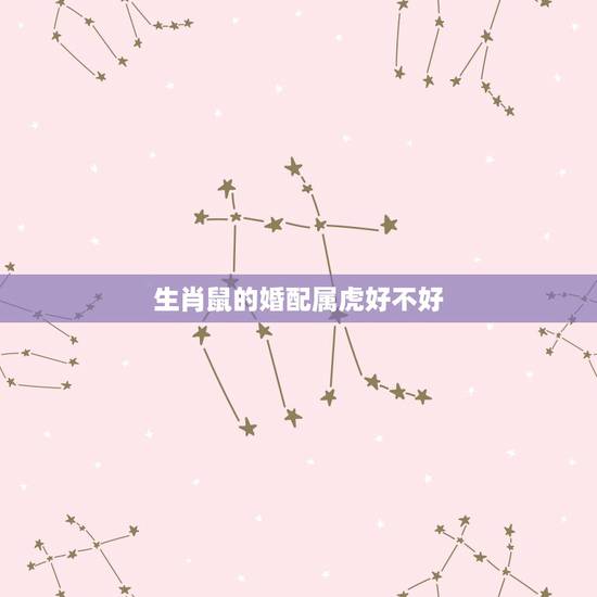 生肖鼠的婚配属虎好不好,属鼠和属虎相配吗 生肖鼠的婚配属虎好不好,属鼠和属虎相配吗