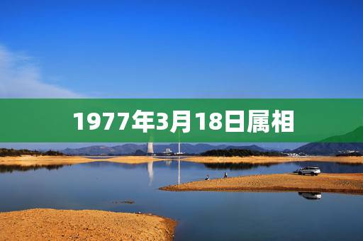 1977年3月18日属相,1977年农历三月十八日出生命运如何? 1977年3月18日属相,1977年农历三月十八日出生命运如何?