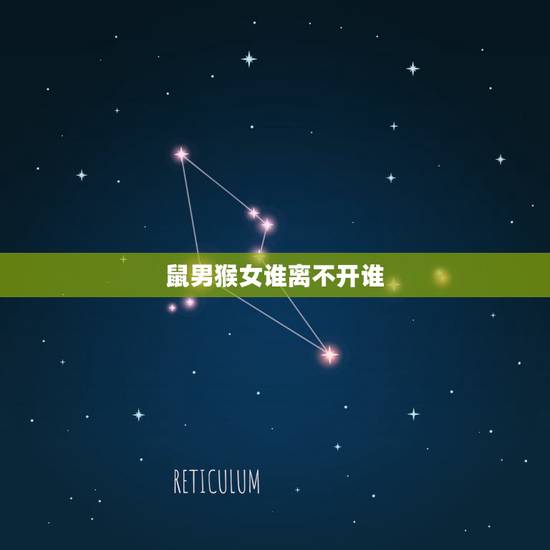 鼠男猴女谁离不开谁，属鼠男喜欢的女人身材