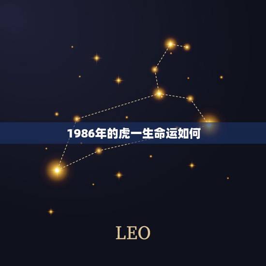 1986年的虎一生命运如何，86年虎今年运势如何？