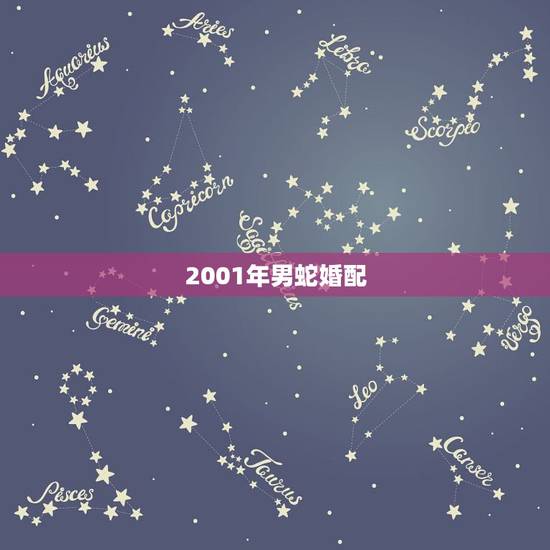 2001年男蛇婚配，2001年属蛇人的婚姻