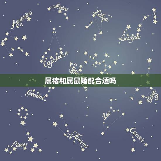 属猪和属鼠婚配合适吗,属猪与属鼠相配吗? 属猪和属鼠婚配合适吗,属猪与属鼠相配吗?