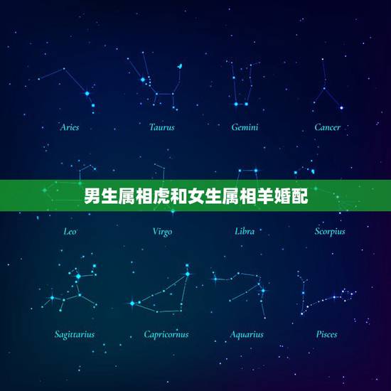 男生属相虎和女生属相羊婚配，男属虎女属羊配吗_虎和羊配吗