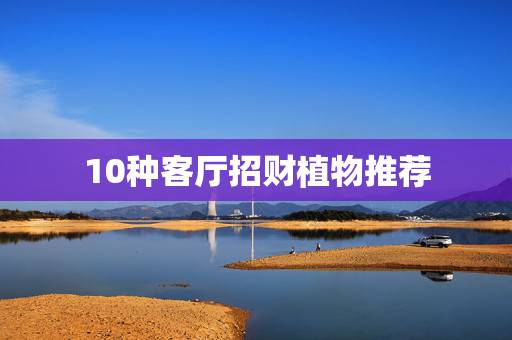 10种客厅招财植物推荐,客厅摆放什么植物好 5种客厅招财植物 10种客厅招财植物推荐,客厅摆放什么植物好 5种客厅招财植物