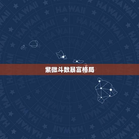紫微斗数暴富格局，紫微斗数：这是什么格局，请详细解释下，请勿复制，谢谢