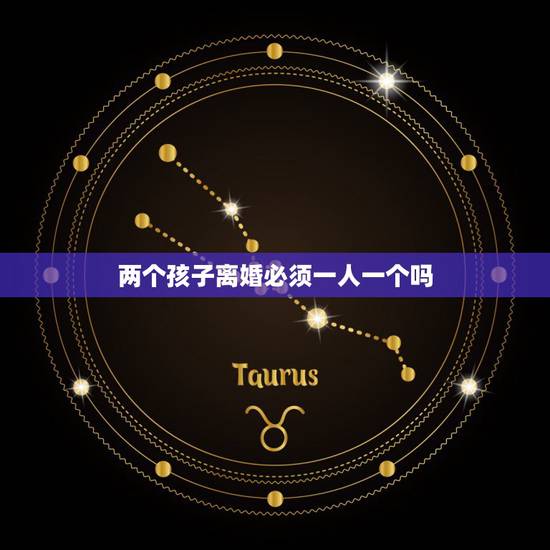 两个孩子离婚必须一人一个吗，父母离婚有两个孩子，是不是一定要一人一个？