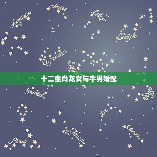 十二生肖龙女与牛男婚配，请问属牛男和属龙女相配吗？