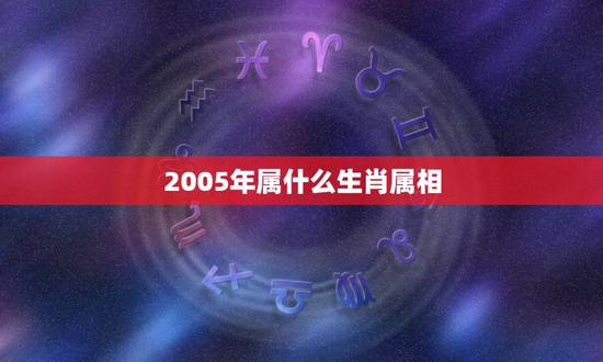 2005年属什么生肖属相，1990年属马的和什么属相相配好