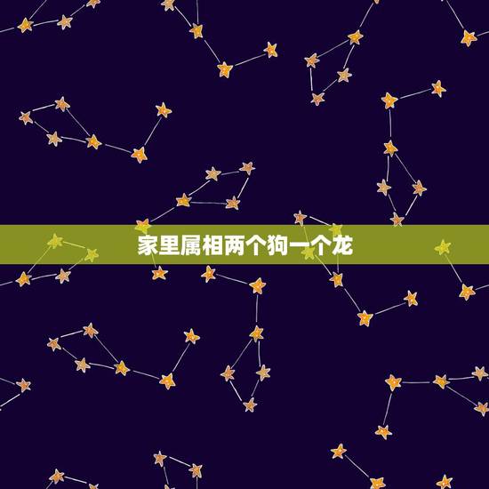 家里属相两个狗一个龙,家里龙和狗相冲。家里应该有个什么属相呢? 家里属相两个狗一个龙,家里龙和狗相冲。家里应该有个什么属相呢?