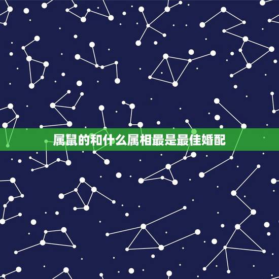 属鼠的和什么属相最是最佳婚配，属鼠的和什么属相最合适