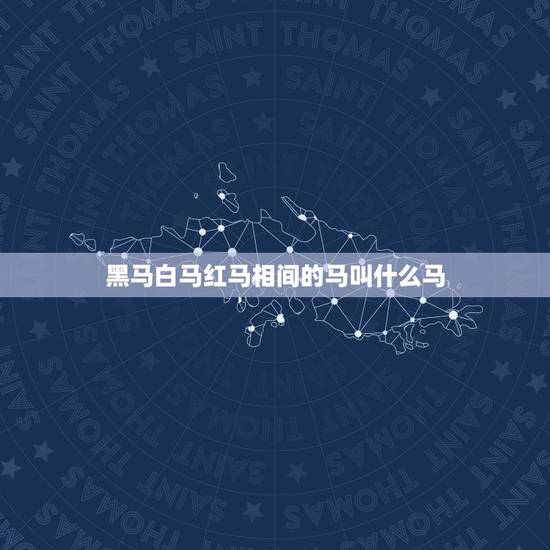 黑马白马红马相间的马叫什么马,白马非马属于什么观点 黑马白马红马相间的马叫什么马,白马非马属于什么观点