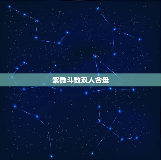 紫微斗数双人合盘，请帮看紫薇合盘