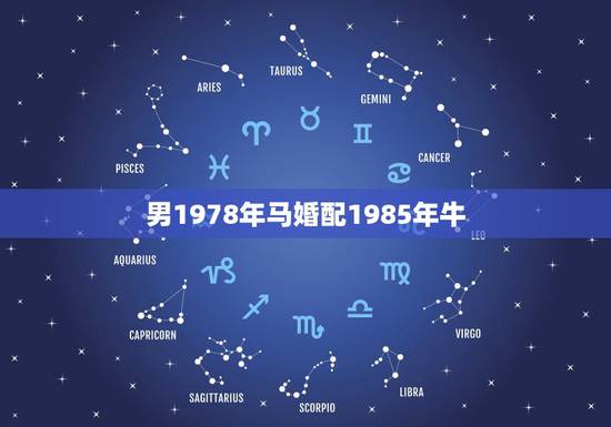 男1978年马婚配1985年牛，男1978年1月19的马和女1985年